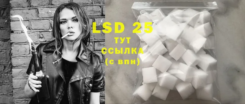 купить наркоту  Курчатов  Лсд 25 экстази ecstasy 